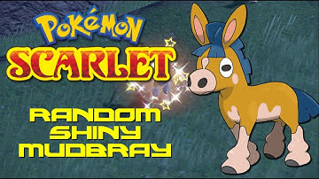 Pokemon Scarlet: Random Shiny Mudbray!
