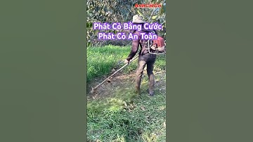 Phát Cỏ Bằng Cước: Máy Phát Cỏ BaLô :@AnhCắtCỏ #anhcatco #máycắtcỏ