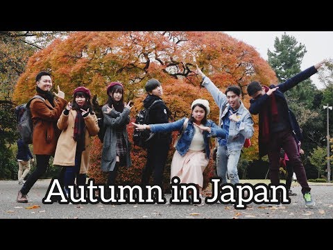 autumn-is-the-best-season-(tokyo-trip)-tokyo---shinjuku---harajuku