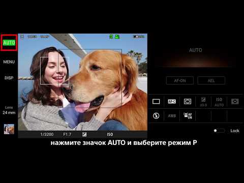 Режим программы в приложении Photo Pro на Xperia 1 II