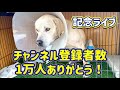 【後編】チャンネル登録者数1万人ありがとう!