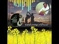 استاد سید انور آزاد آهنگ یار تو ده ایرانه الی Ustad Sayed Anwar Azad 