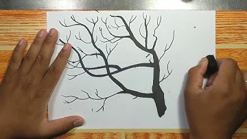 How to draw BARE TREE BRANCHES (SILHOUETTE) step by step