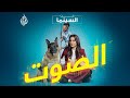 السينما تتكلم عن السينما