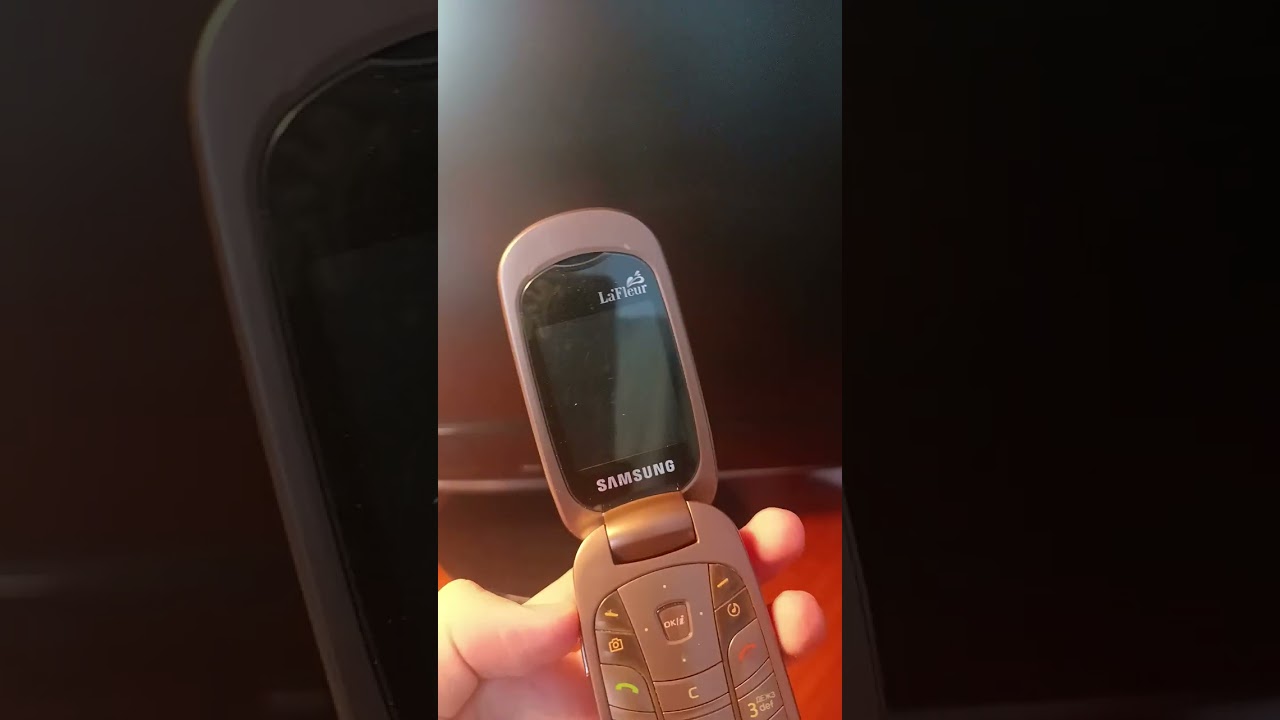 Samsung SGH-L320 on/ringtones/SMS tones/off