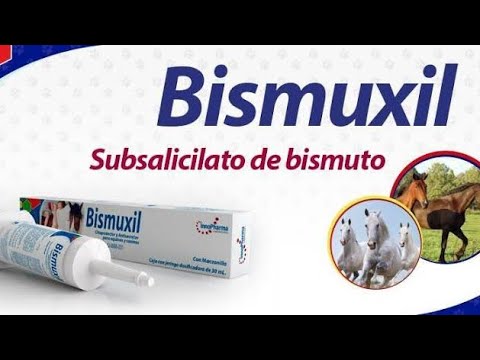 Video: Pepto Bismol - Lista De Medicamentos Y Recetas Para Mascotas, Perros Y Gatos