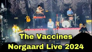 The Vaccines - NORGAARD Live 2024!!