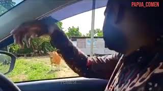 Story wa ngakak(Papua komen)