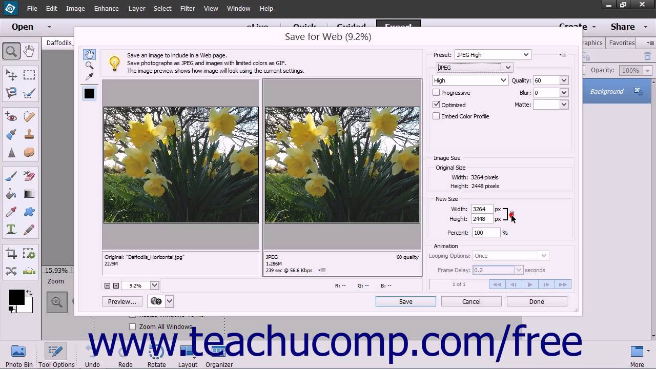 adobe photoshop elements 13 tutorial adobe photoshop elements 13 tutorial