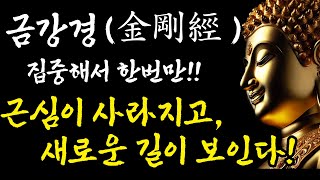 금강경 영인스님 집중해서 1독!!  #명상 #염불 #불교 #천수경 #천수경독경 #참선 #금강경강의 #금강경