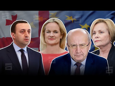 ღარიბაშვილი ევროპარლამენტარებს ტყუილში ადანაშაულებს | \"ოცნების\" უარი ევროპას