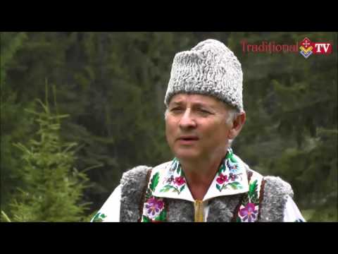 Nicolae Glib Stejărel Mândru Frumos