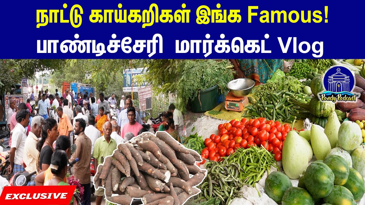 நோணாங்குப்பம் அதிகாலை காய்கறி மார்க்கெட் Vlog|