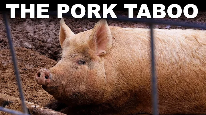 Why billions of people won't eat pork (or why we don't know) - DayDayNews