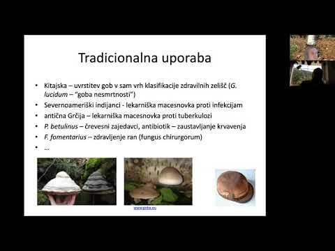 Predavanje "Zdravilne gobe" - doc. dr. Andrej Gregori