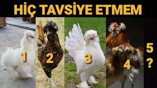 KAPALI KAFESTE ZEVKLE BESLENMEYEN 5 TÜR !!! BENZER TÜRLERİ BİLEN YORUMA