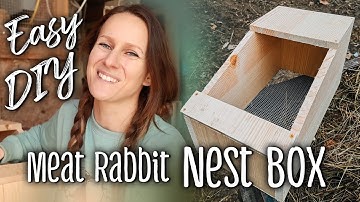 Rabbit Nest Boxes - Easy DIY for meat rabbits + some tips!
