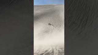 Amargosa dunes.  Airing out the front tires.