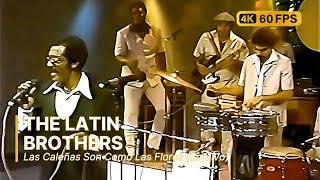 The Latin Brothers - Las Caleñas Son Como Las Flores (En Vivo) 4K 60Fps