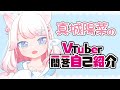 【自己紹介】Vtuber一問一答自己紹介【真城陽菜】