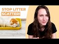 Cat Litter Everywhere? How to Stop Litter Tracking &amp; Scatter