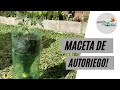 Maceta Auto Riego con botellas reciclables | Fácil, rápida y gratis!