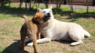 나렝아치 주말 수다방