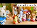 シルバニアファミリー sylvanianfamilies calicocritters 保育園 幼稚園 身体測定をした日。ドキドキ お医者さん がきたよ！病院 家具 おもちゃ 動画 toy kids