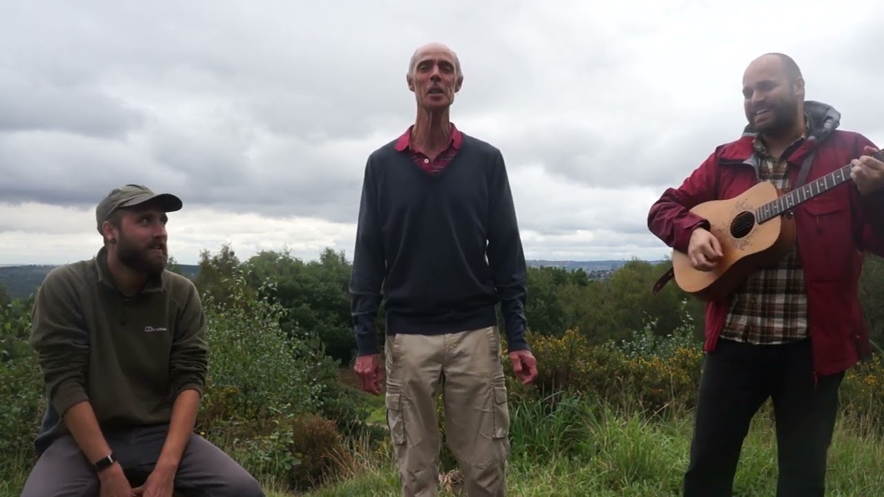 Old Carrion Crow Sitting On An Oak - The Darnills (on Wadsley and Loxley Common, Sheffield)
