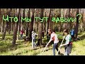 Vlog: Поехали толпой в лес...