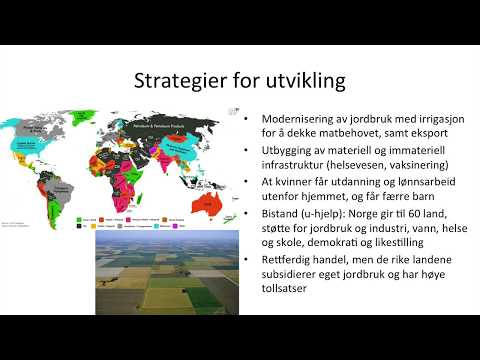 Video: Hva kjennetegner teorien om globale varekjeder?