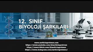 12. Sınıf Biyoloji Çift döllenme ve tohum oluşumu şarkısı kapak görseli