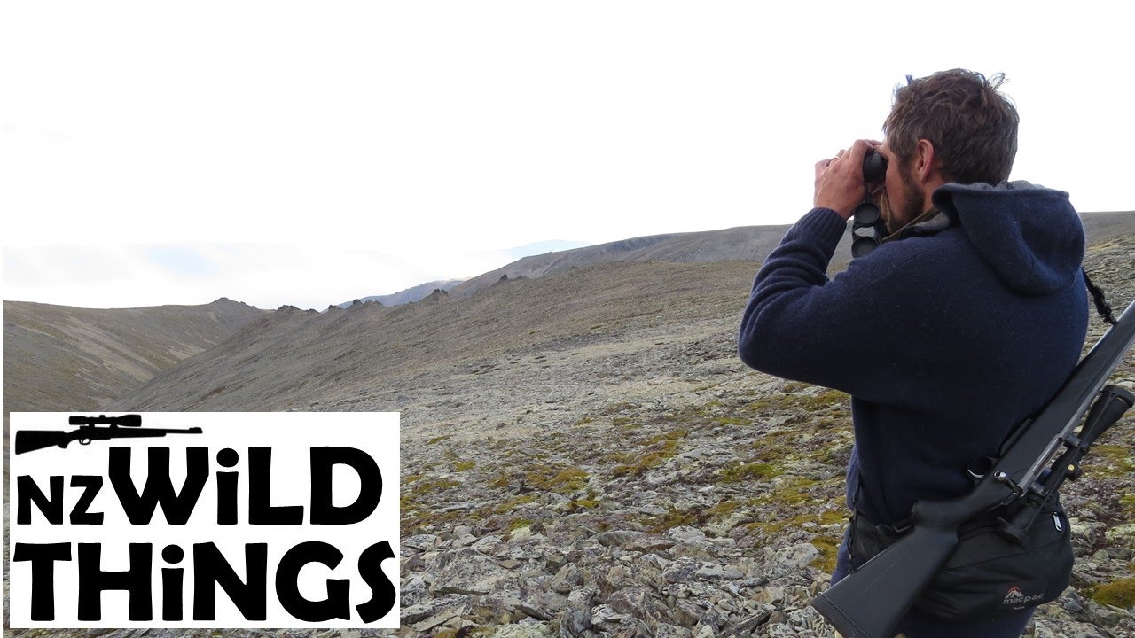 Pre-Rut Red Stag Hunt - Public Land Otago 