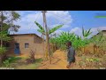 BUGESERA MAYANGE IKIBANZA Kirimo N INYUBAKO WAVUGURURA KIRAGURISHWA Macye Ni Heza Cyane BUGESERA MAYANGE IKIBANZA Kirimo N INYUBAKO WAVUGURURA KIRAGURISHWA Macye Ni Heza Cyane
