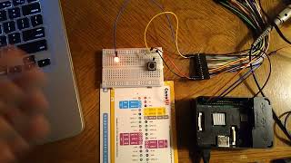 Using a Raspberry Pi's GPIO pins to interface to an LED and a switch.