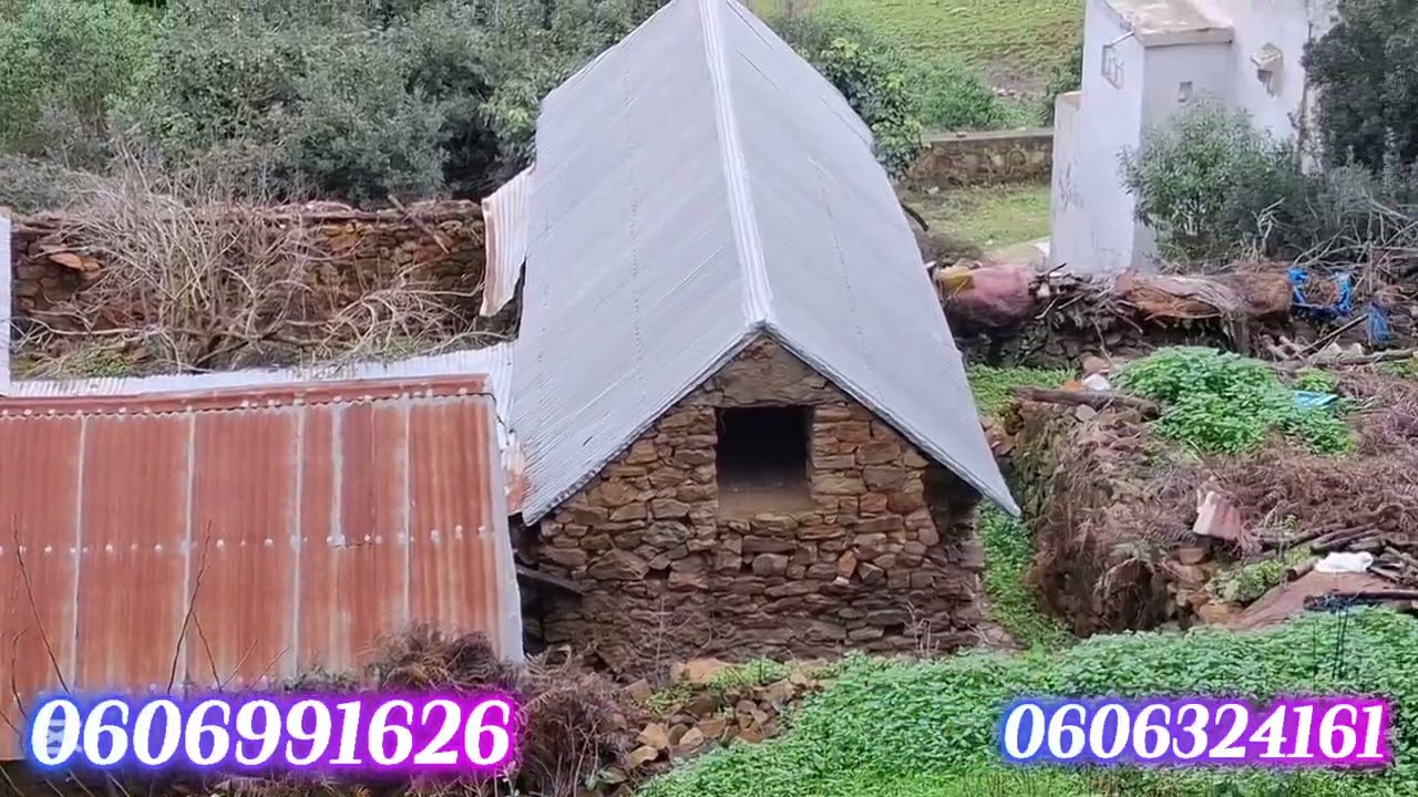 قطعة ارضيه 2200متر ملكية فيها دار بلدية واصلا الماء والضوء والطريق في الزميج ملوسة نواحي طنجة 