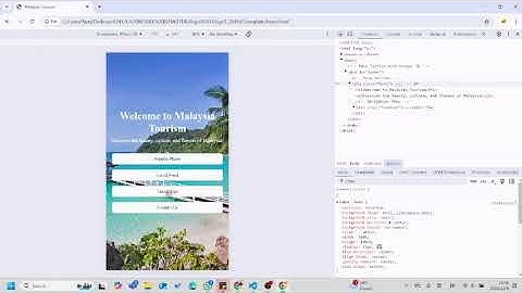 STIWK2114 Mobile Programming Assignment 1 Presentation Video (284842 )