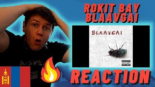 🇲🇳Rokit Bay - BLAAVGAI (FLA DISS) - IRISH REACTION