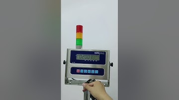 Demostrate of Roller Conveyor Check Weigher Scale