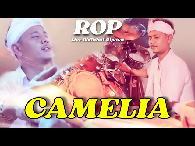 ROP LIVE ( Cidihbul,Cipatat Bandung Barat ) - CAMELIA class=