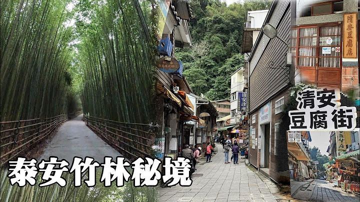 苗栗泰安~清安豆腐街、泰安竹林秘境 (乌嗄彦竹林) - 天天要闻