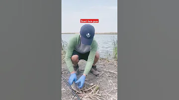 Fishing 2025 Canada 