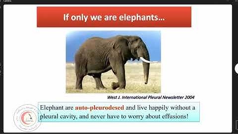 Non Malignant Pleural effusions(modified)