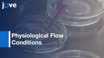 Novel 3D Flow Chamber Device: Chemokine-Directed Extravasation-Cells Circulating l Protocol Preview