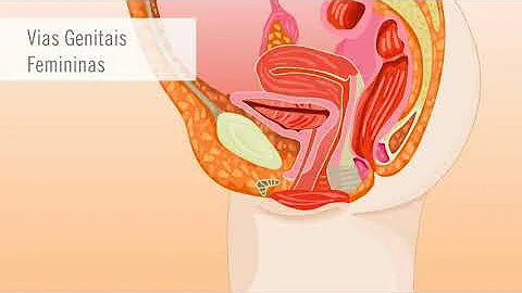 Em que fase geralmente ocorre a fecundação?
