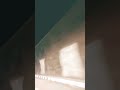 official viral song