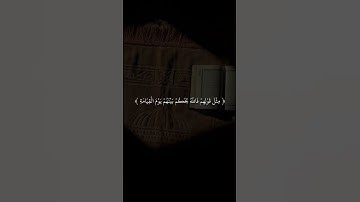 #القرآن_الكريم #قران_كريم #راحة_نفسية #ارح_قلبك #قرآن #تلاوة_خاشعة