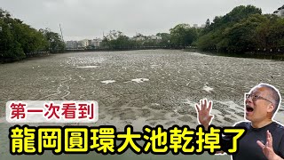 龍岡圓環大池乾了，一堆大鯉魚死了⋯⋯￼有人知道發生什麼事情了嗎？有朋友說每年會抽乾兩次，不知道這次是不是承租人把水抽乾了！