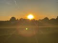 #Sun #SunSet #SunDowner #flying #Bird