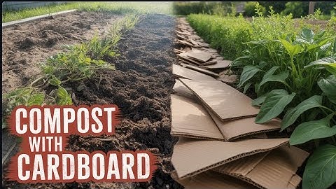 The Cardboard Composting Secret That Boost Harvest Completely